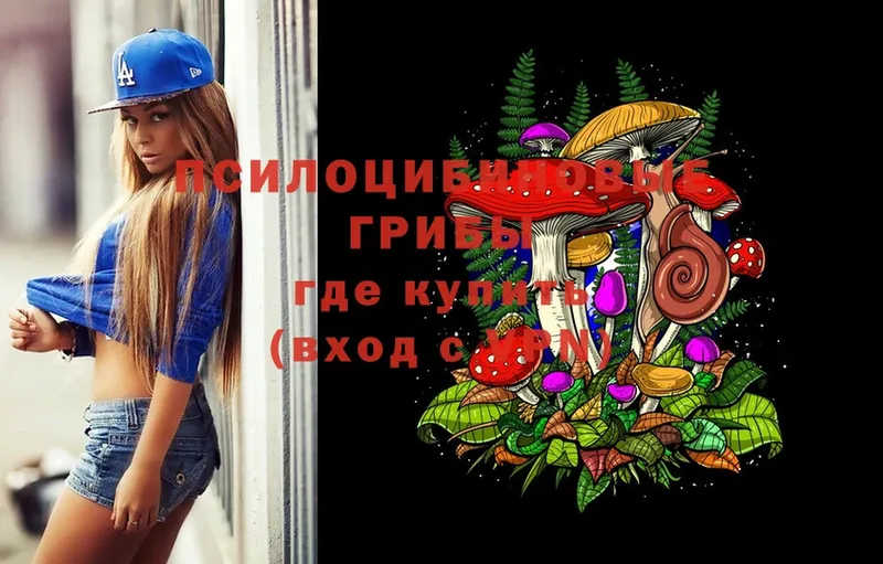 Псилоцибиновые грибы Magic Shrooms  Будённовск 